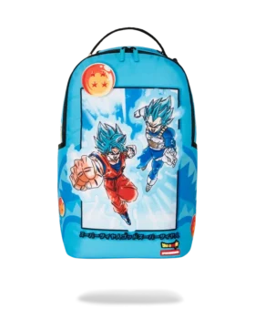 DRAGON BALL Z SUPER SAIYAN BLUE GOKU ΚΑΙ VEGETA