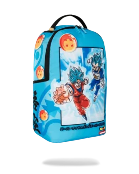 DRAGON BALL Z SUPER SAIYAN BLUE GOKU ΚΑΙ VEGETA