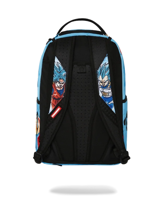 DRAGON BALL Z SUPER SAIYAN BLUE GOKU ΚΑΙ VEGETA