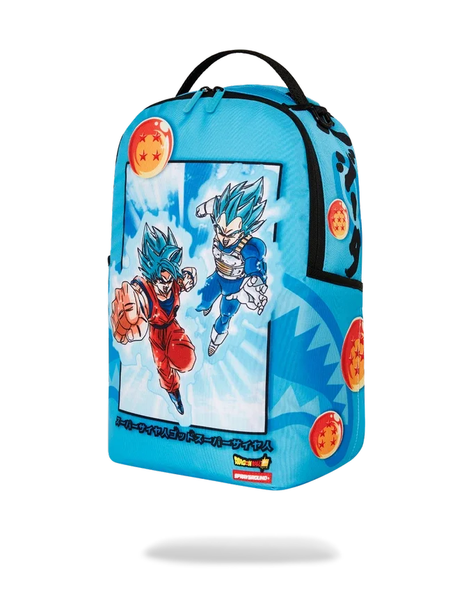DRAGON BALL Z SUPER SAIYAN BLUE GOKU ΚΑΙ VEGETA