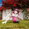 PINK PANTHER PRESTIGE Τσάντες Tote
