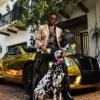 RICHIE RICH PAINT THE SHARK GOLD Σακίδιο Πλάτης