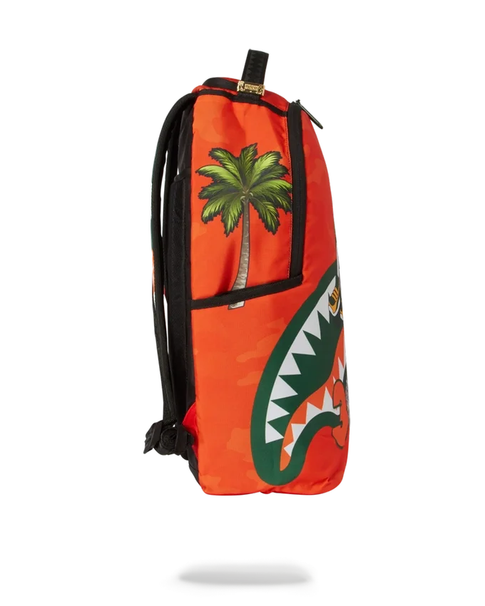 ΣΑΚΙΔΙΟ ΠΛΆΤΗΣ MIAMI HURRICANES