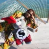 SHARK FRIENDS MONEYBEAR TEDDYBEAR Σακίδιο Πλάτης